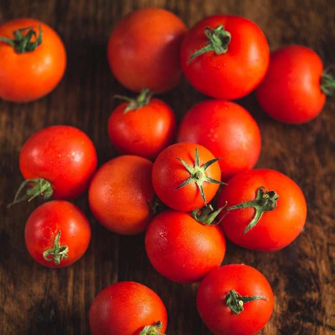 Tomates fraîches bio