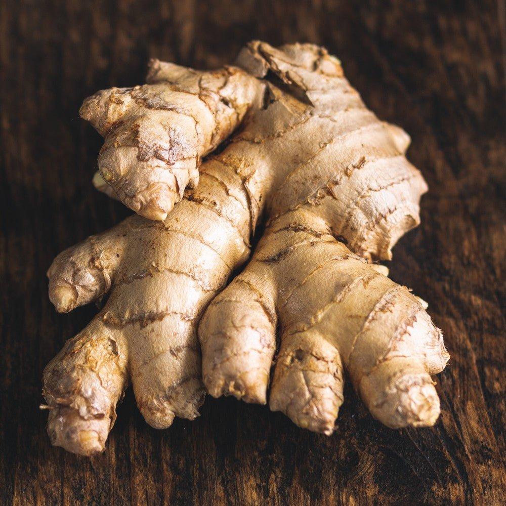 Rhizome de gingembre bio